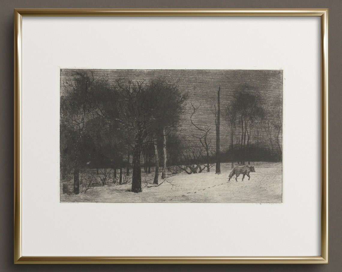 Lone Wolf Dark Forest Art Print, Dark Academia