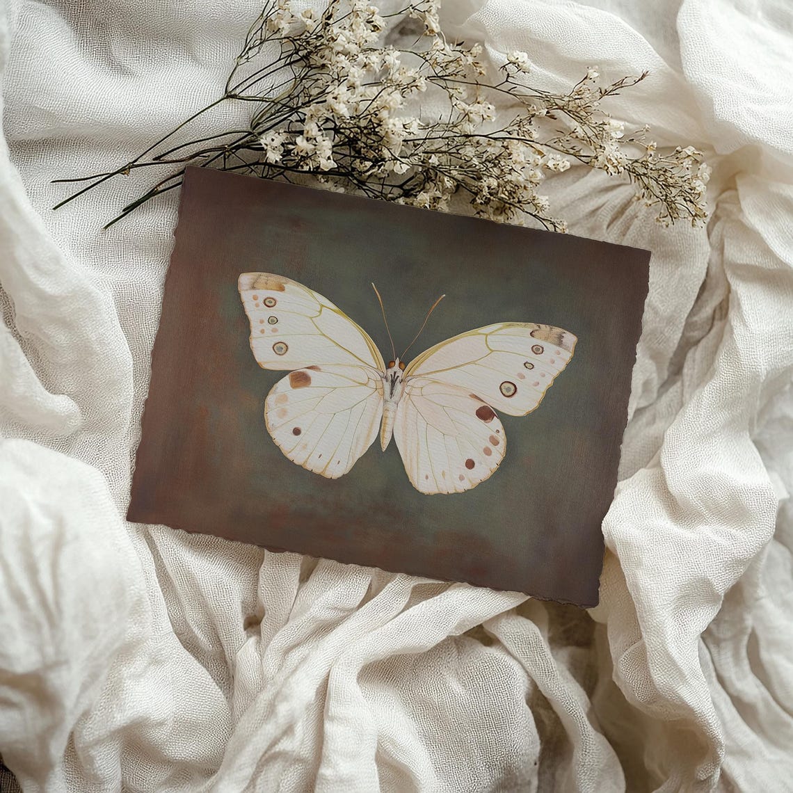 White Butterfly Dark Vintage Botanical Specimen Framed Art Print - Image 4