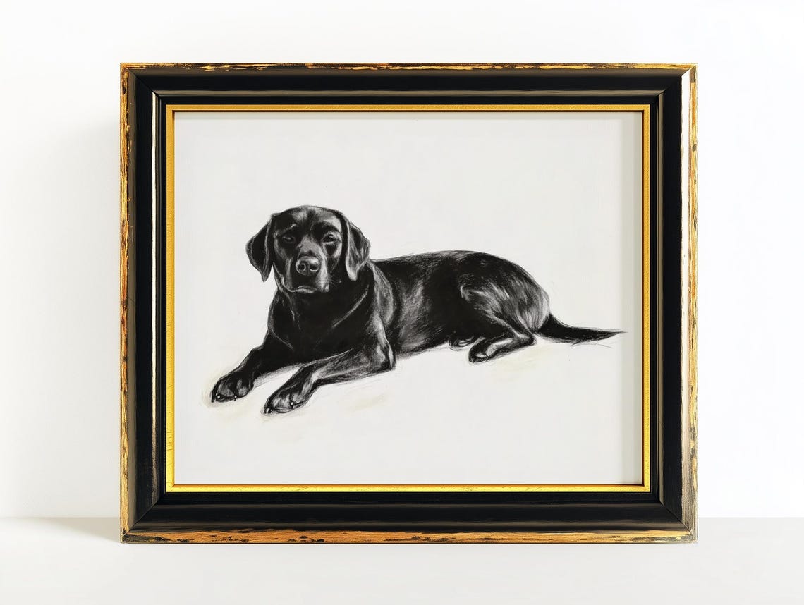 Black Labrador Retriever Lying Down Charcoal Sketch Dog Art Poster - Image 4