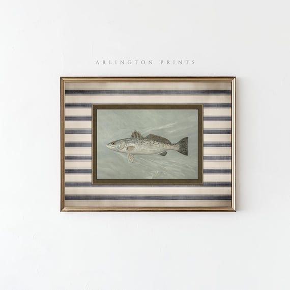 Vintage Fish, Rustic Coastal Decor Art Print