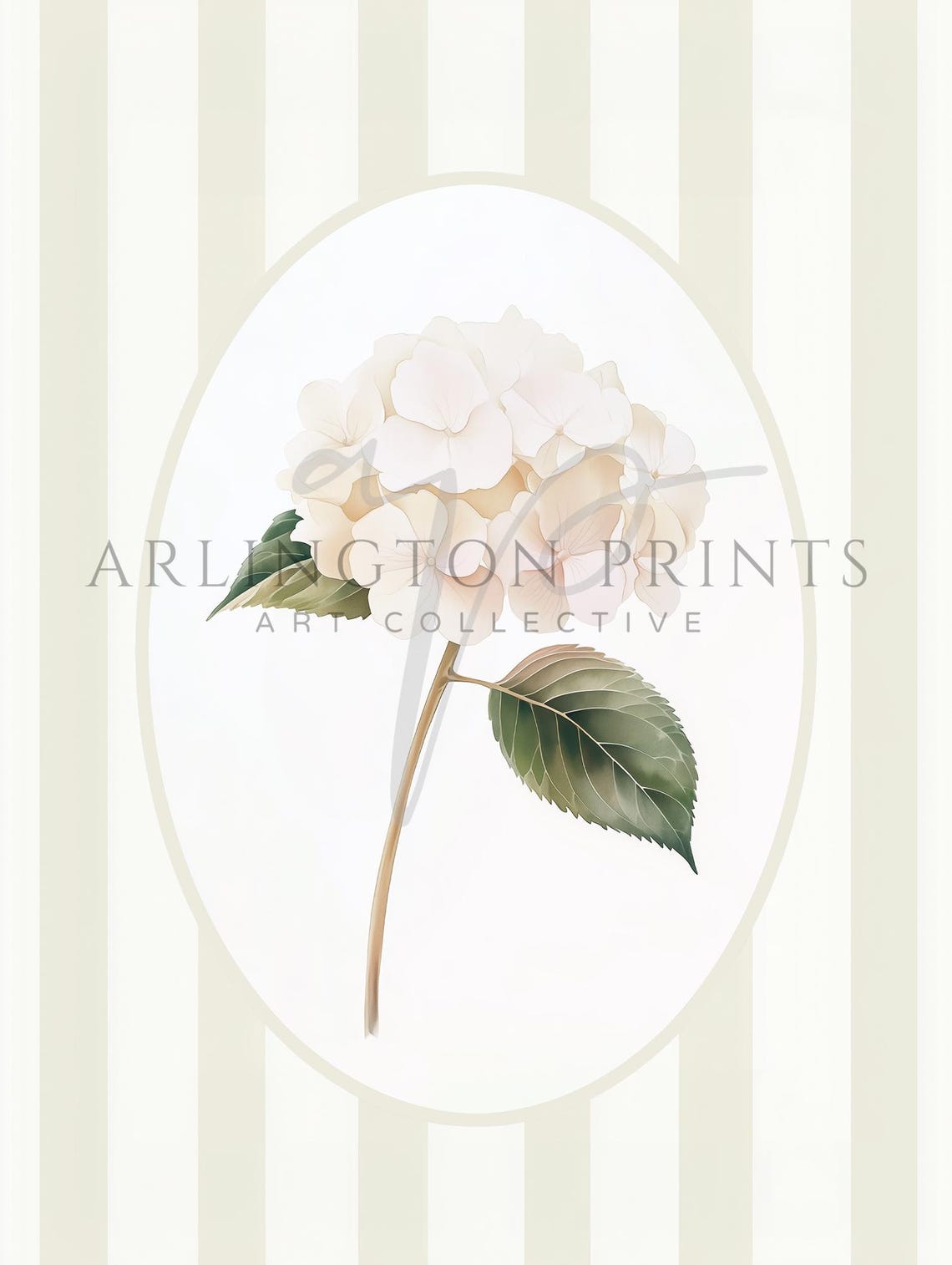 White Hydrangea Bloom on Cream Stripes Botanical Nursery Decor Poster - Image 2