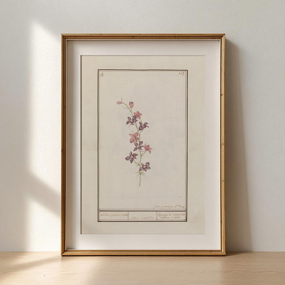 Antique French Botanical Pink Blossom Flower Illustration Poster