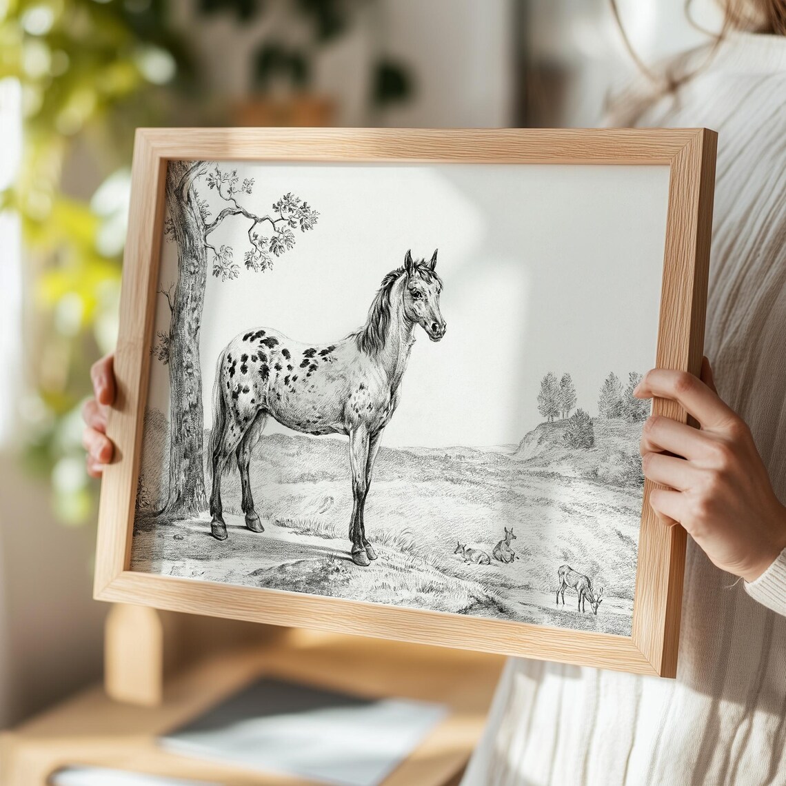 Vintage Engraving of a Spotted Horse Standing in a Pasture Print - Image 5