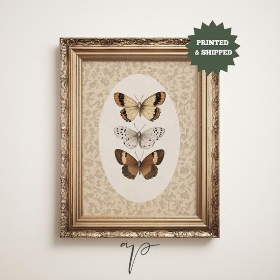 Vintage Butterflies and Moth Nursery Art Print