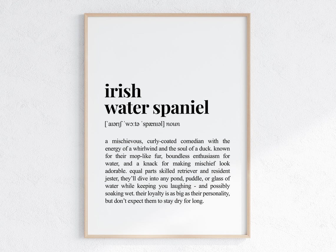 Irish Water Spaniel Dog Funny Definition Print Gift For Parent Lover Art Humorous Dictionary Poster