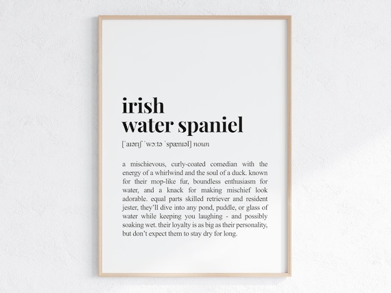 Irish Water Spaniel Dog Funny Definition Print Gift For Parent Lover Art Humorous Dictionary Poster