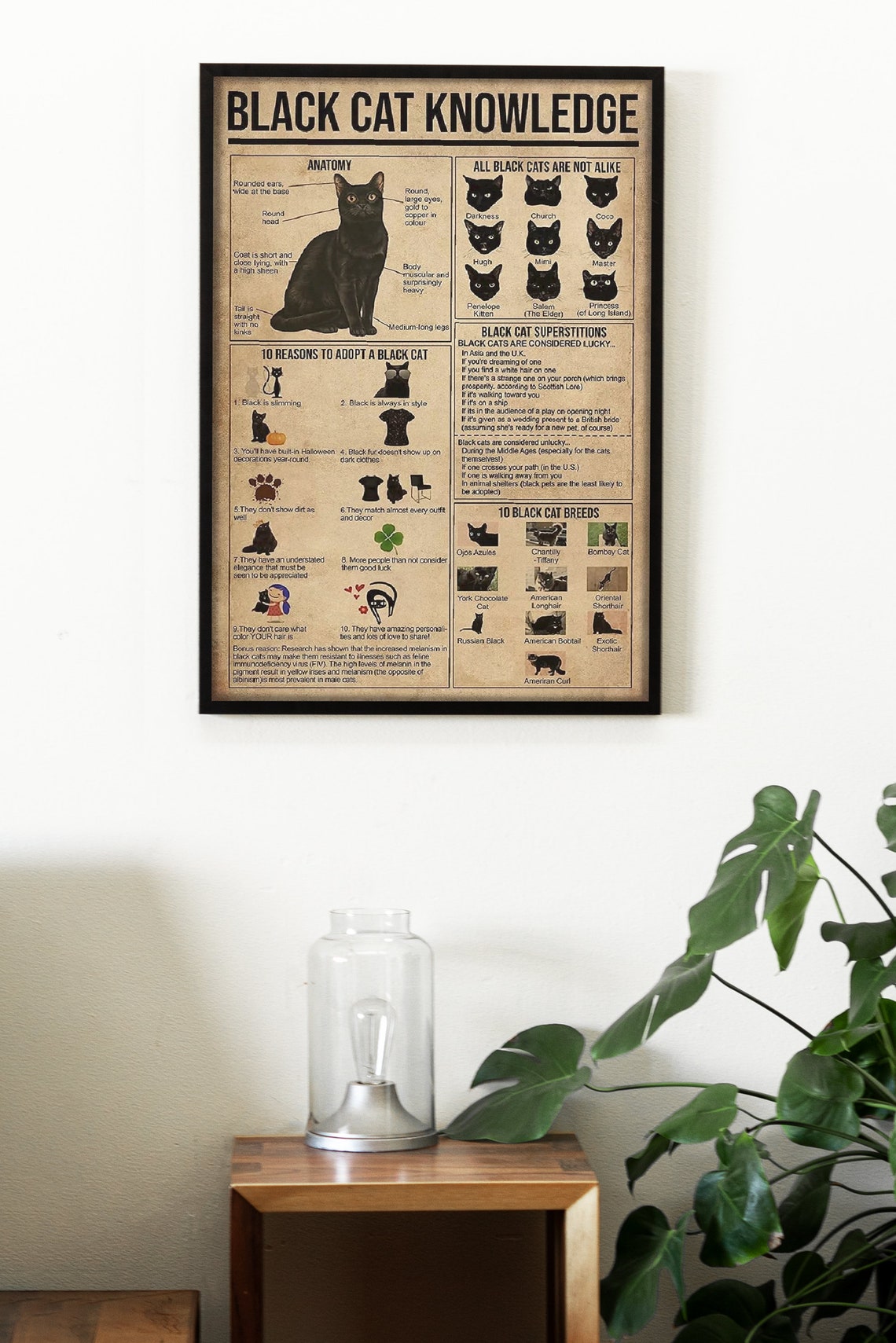 Black Cat Knowledge Anatomy Adoption Reasons Vintage Chart Poster - Image 2