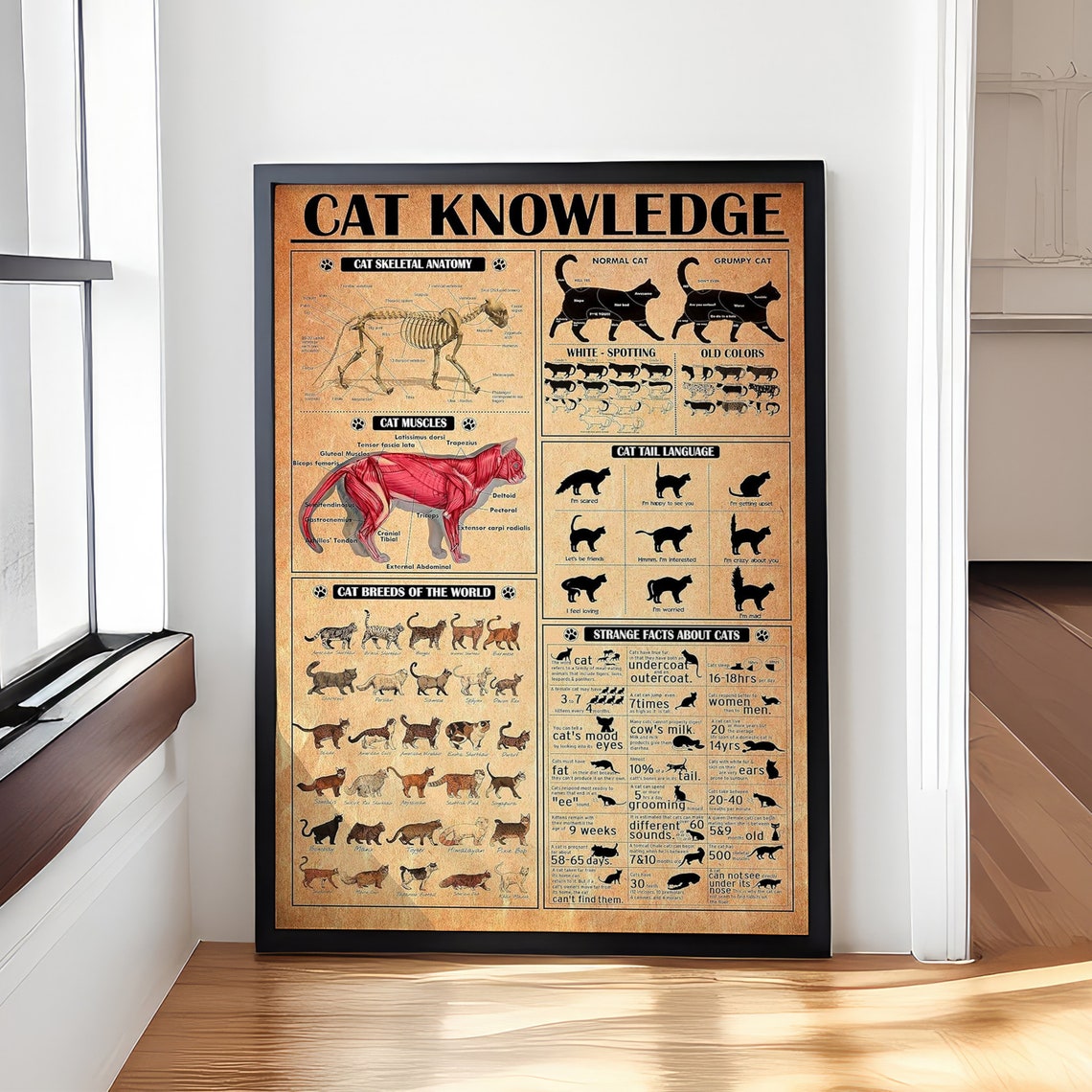 Cat Knowledge Anatomy Breeds and Tail Language Vintage Poster