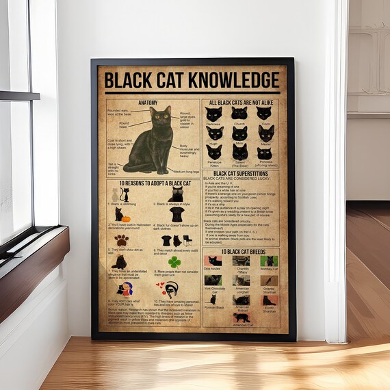 Black Cat Knowledge Poster, Vintage Cat Poster