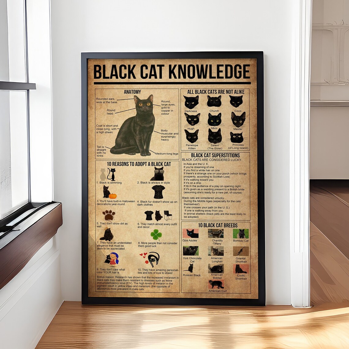 Black Cat Knowledge Poster, Vintage Cat Poster