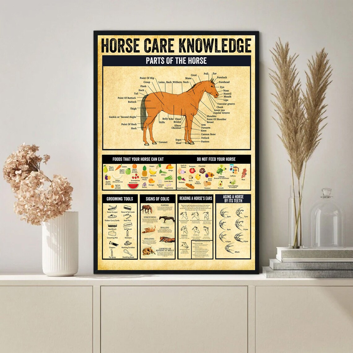 Horse Care Knowledge Guide for Horse Lovers Poster - Image 3