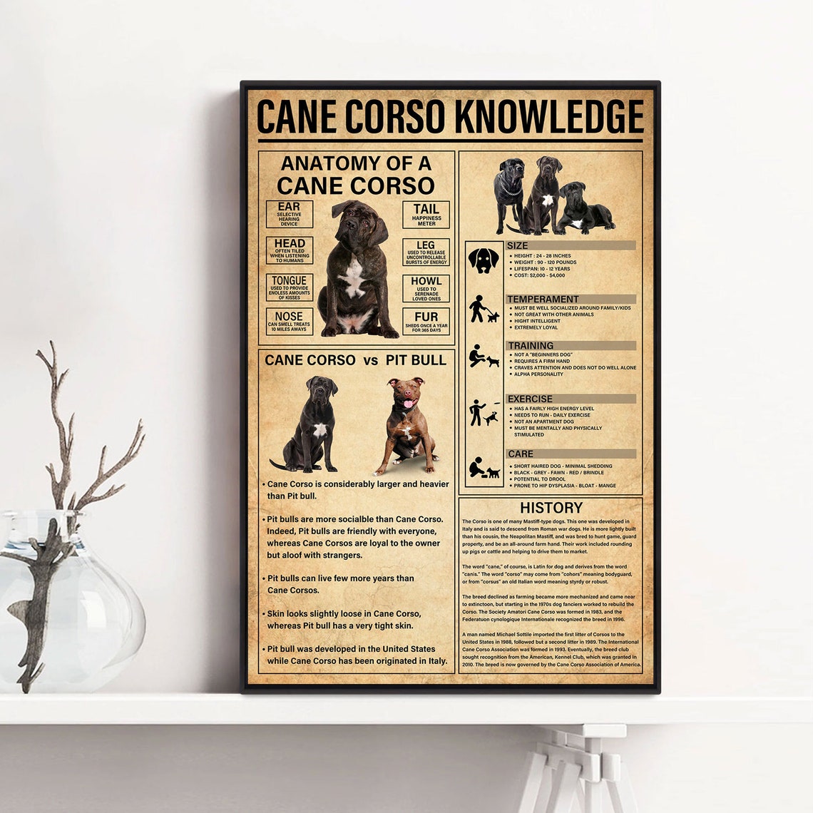 Cane Corso Knowledge Anatomy Breed Facts Vintage Dog Chart Poster - Image 3