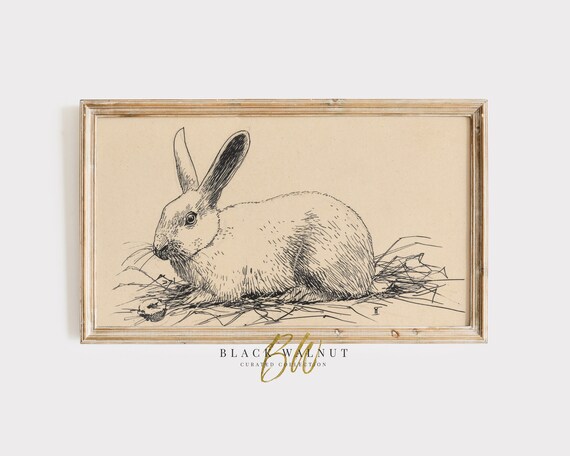Vintage Bunny Sketch Rabbit Pen Drawing Neutral Farmhouse Wall Art