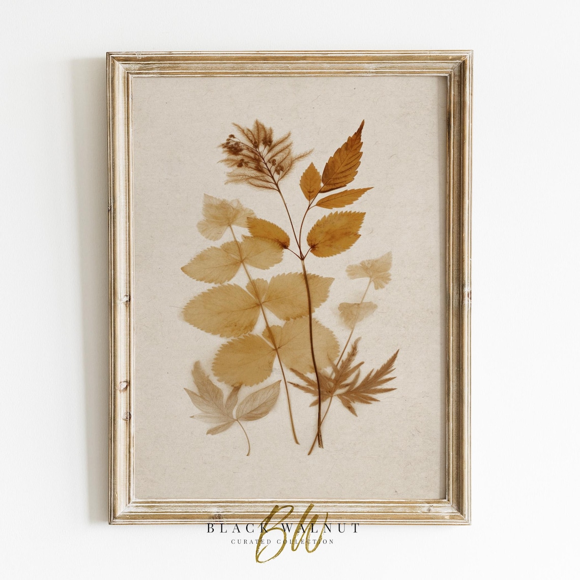 Fall Botanical Print, Rustic Farmhouse Wall Art