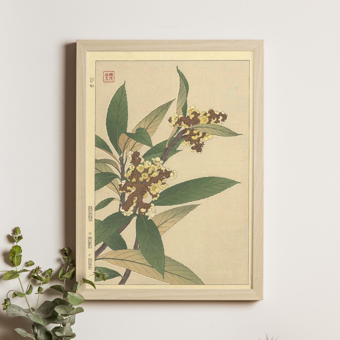Loquat Biwa Blossom Branch Vintage Japanese Botanical Poster