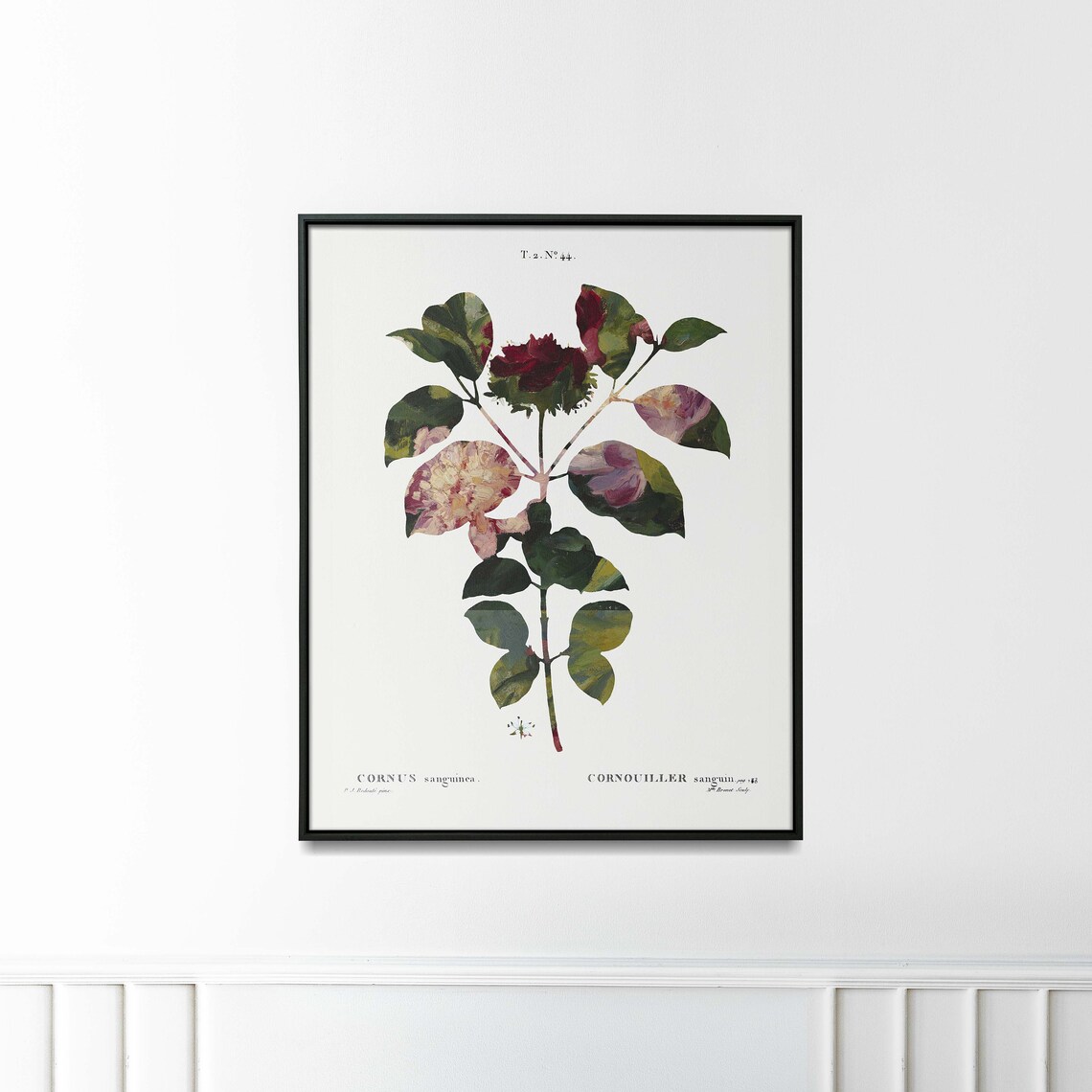 Cornus Sanguinea Vintage Botanical Plate Redoute Style Floral Poster - Image 2