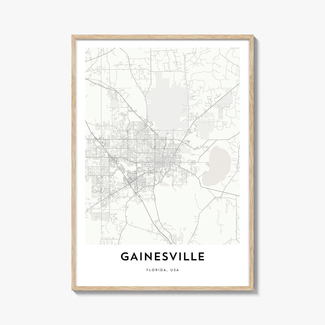 Gainesville Florida Hometown Minimalist Street Map City Art Poster