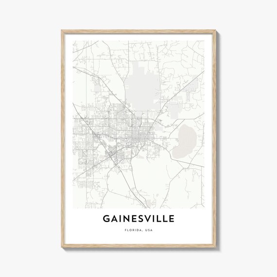 Gainesville Florida Hometown Minimalist Street Map City Art Poster