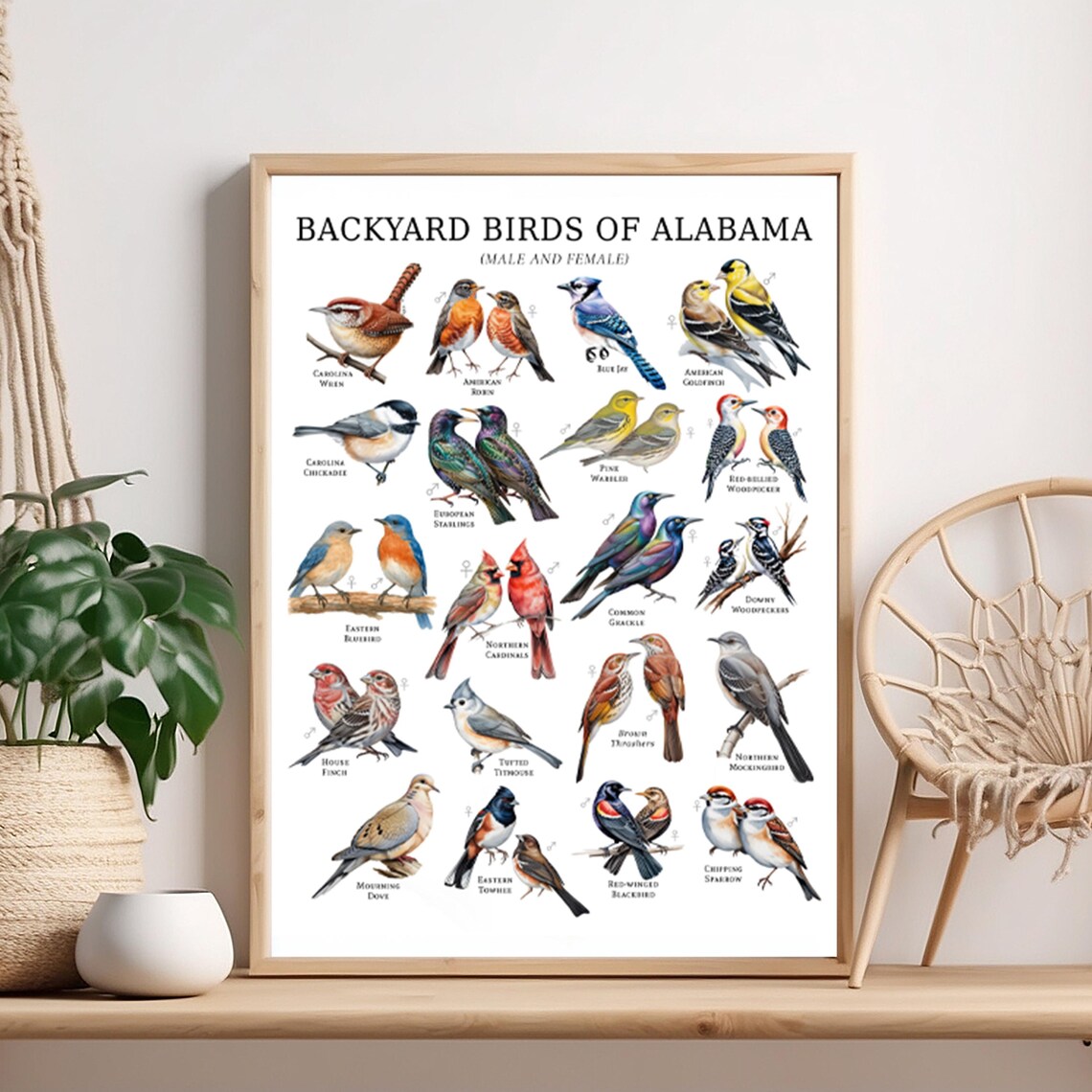 Backyard Birds of Alabama Male and Female Watercolor Bird Poster