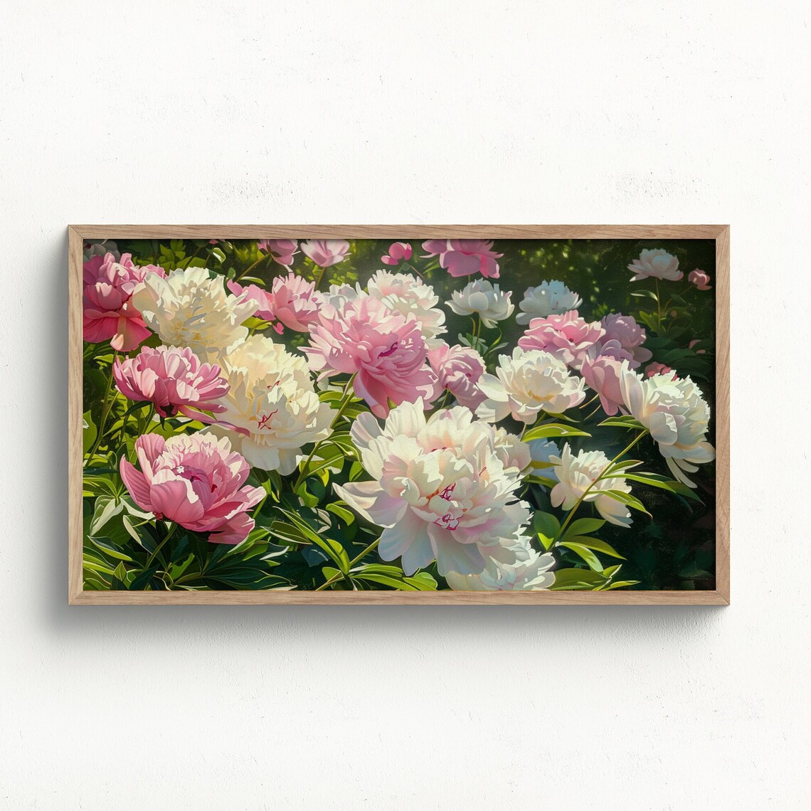 Pink White Peonies Close Up Sunlit Blooms Impressionist Art Poster