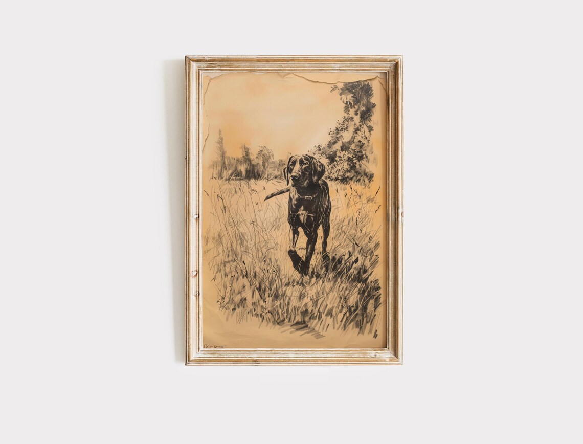 Hunting Dog Sketch, Vintage Rustic Farmhouse Print - Image 2