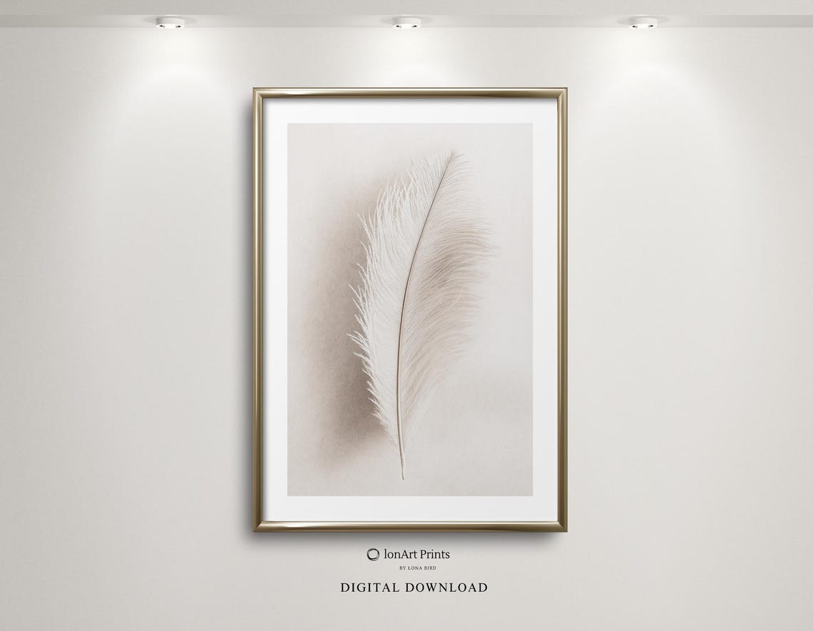 Single White Feather Minimalist Photography Neutral Wall Art