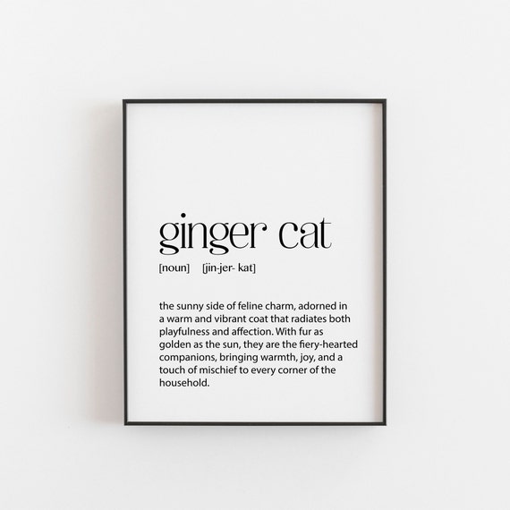 Ginger Cat Definition Art Print, Home Decor