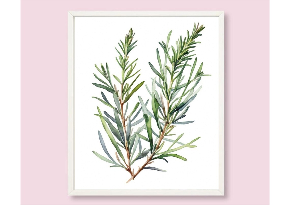 Rosemary Painting Herbs Watercolor Art Print Spices Wall Art Rosemary Still Life Farmhouse Wall Decor Kitchen Still Life Art Green Herbs Art - Image 6