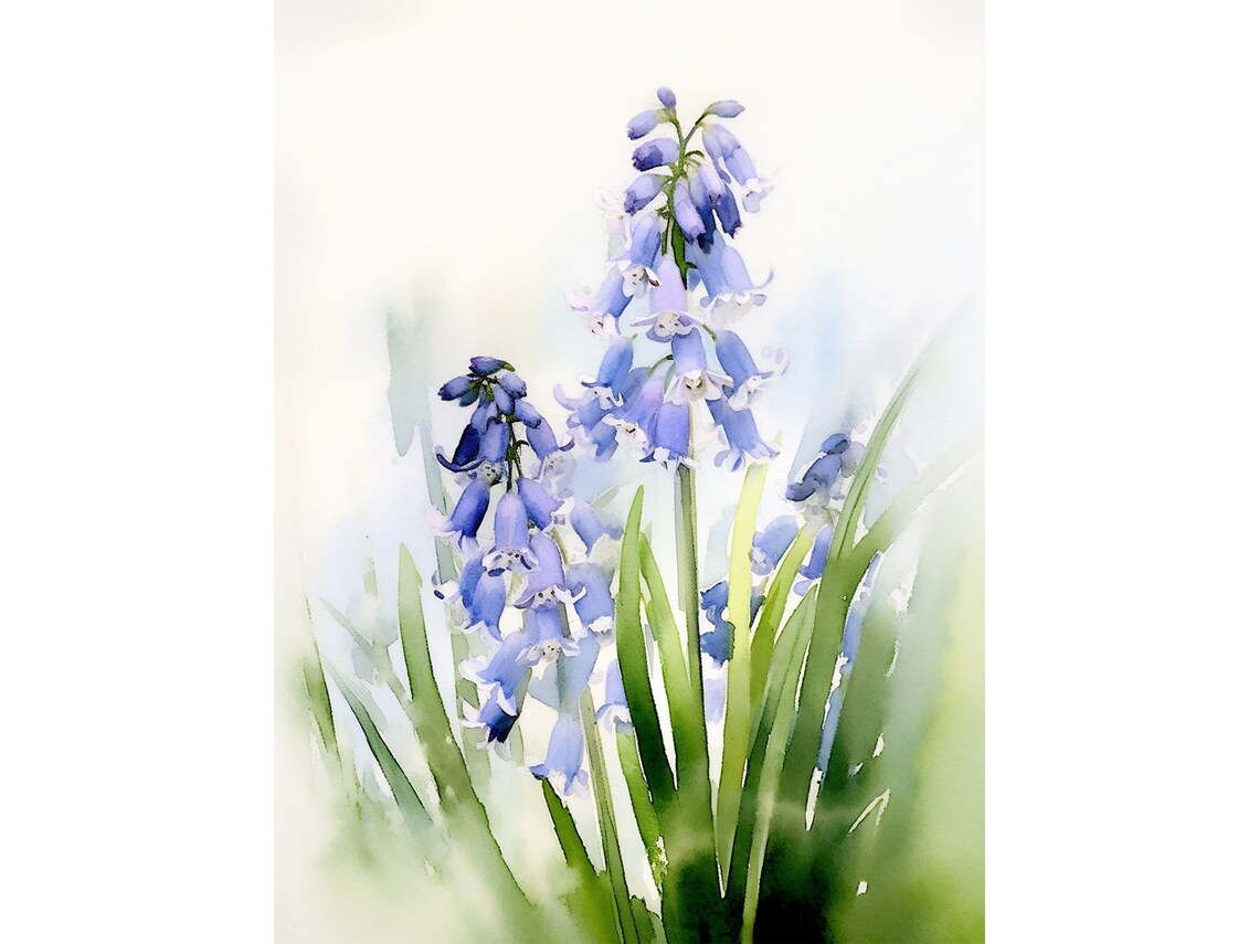 Bluebell Watercolor Botanical Floral Art Print
