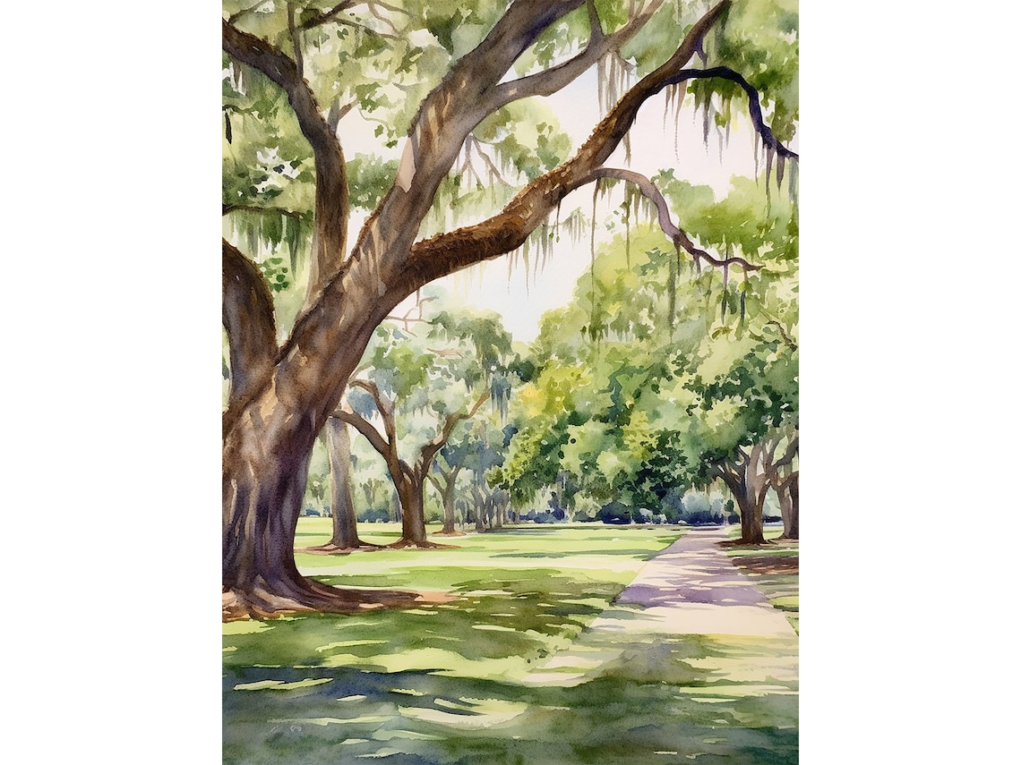 Audubon Park Oak Watercolor Art Print, New Orleans