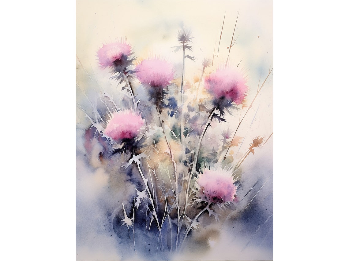 Scottish Thistles Pink Wildflowers Watercolor Botanical Bloom Poster