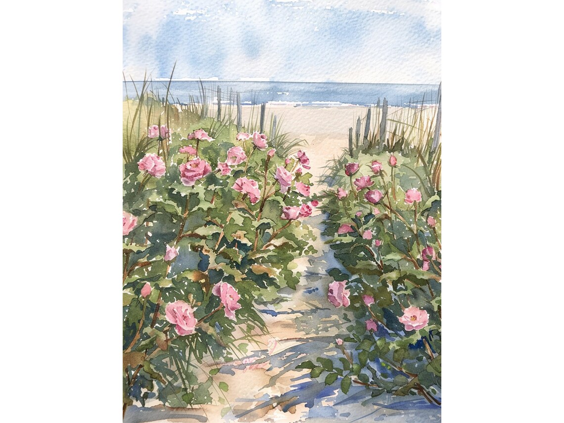 Cape Cod Beach Roses Watercolor Art Print
