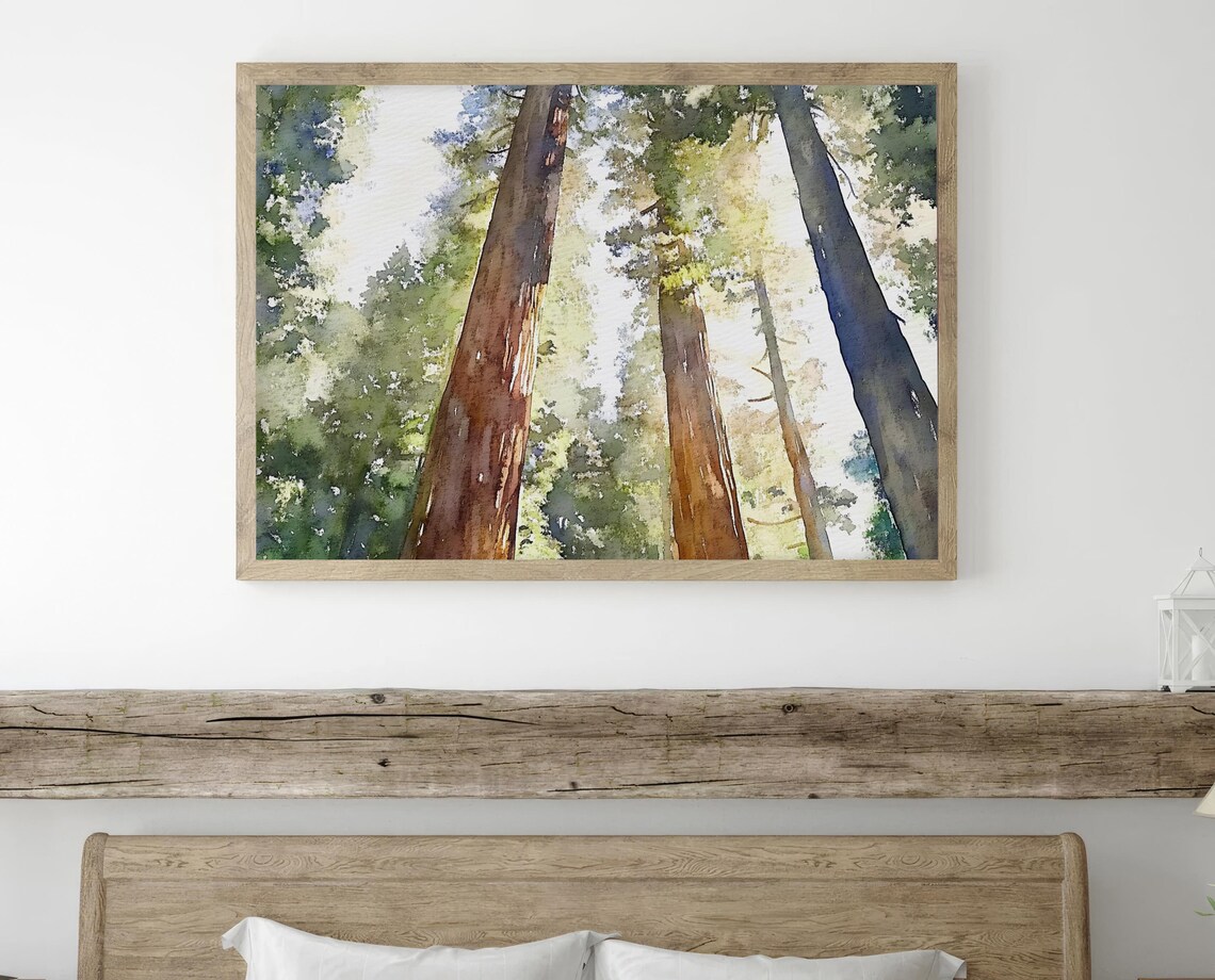 Humboldt Redwoods Watercolor Art Print, National Park - Image 4