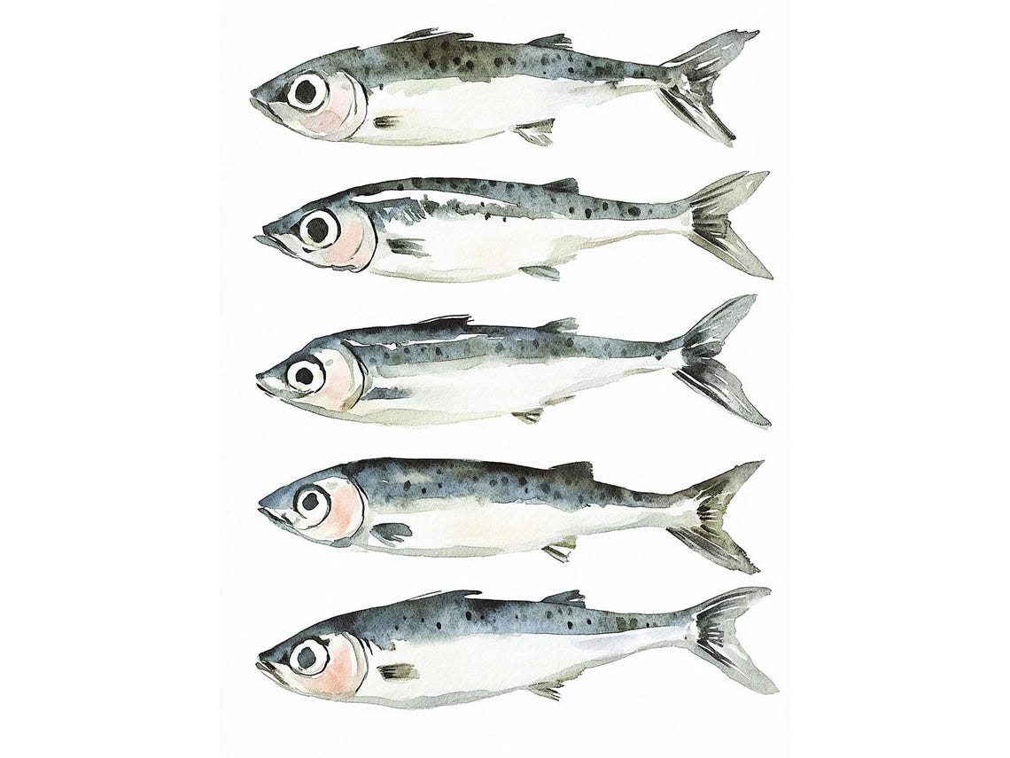 Sardine Fish Row Watercolor Kitchen Seafood Art Coastal Poster