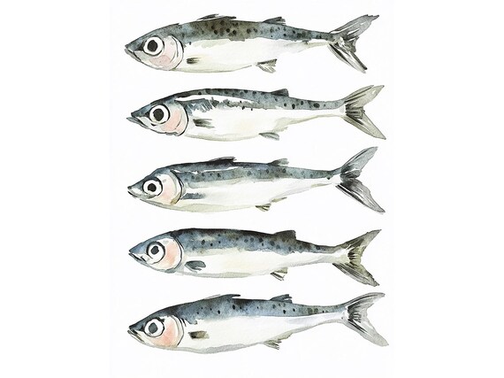Sardines Painting Fish Watercolor Art Print Kitchen Wall Art Fisherman Gift Beach House Decor