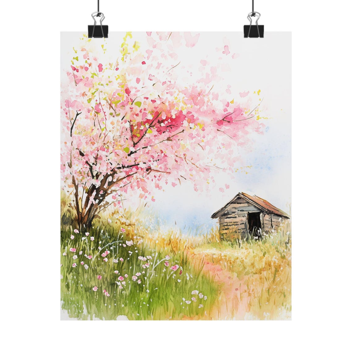 Pink Cherry Blossom Tree in Bloom Beside a Rustic Wooden Shed Print