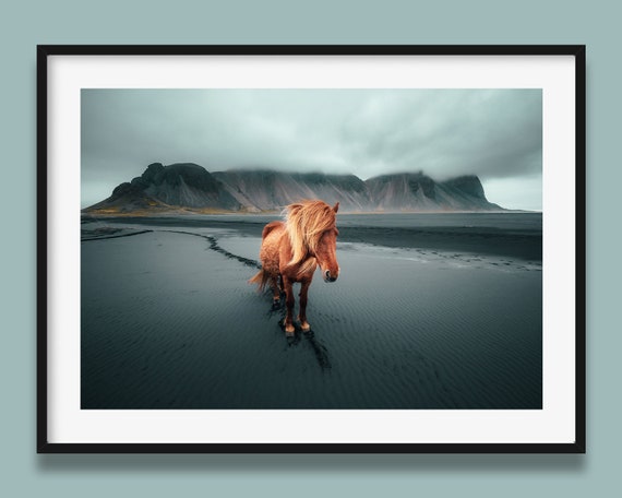 Icelandic Horse Landscape Art Print, From Iceland