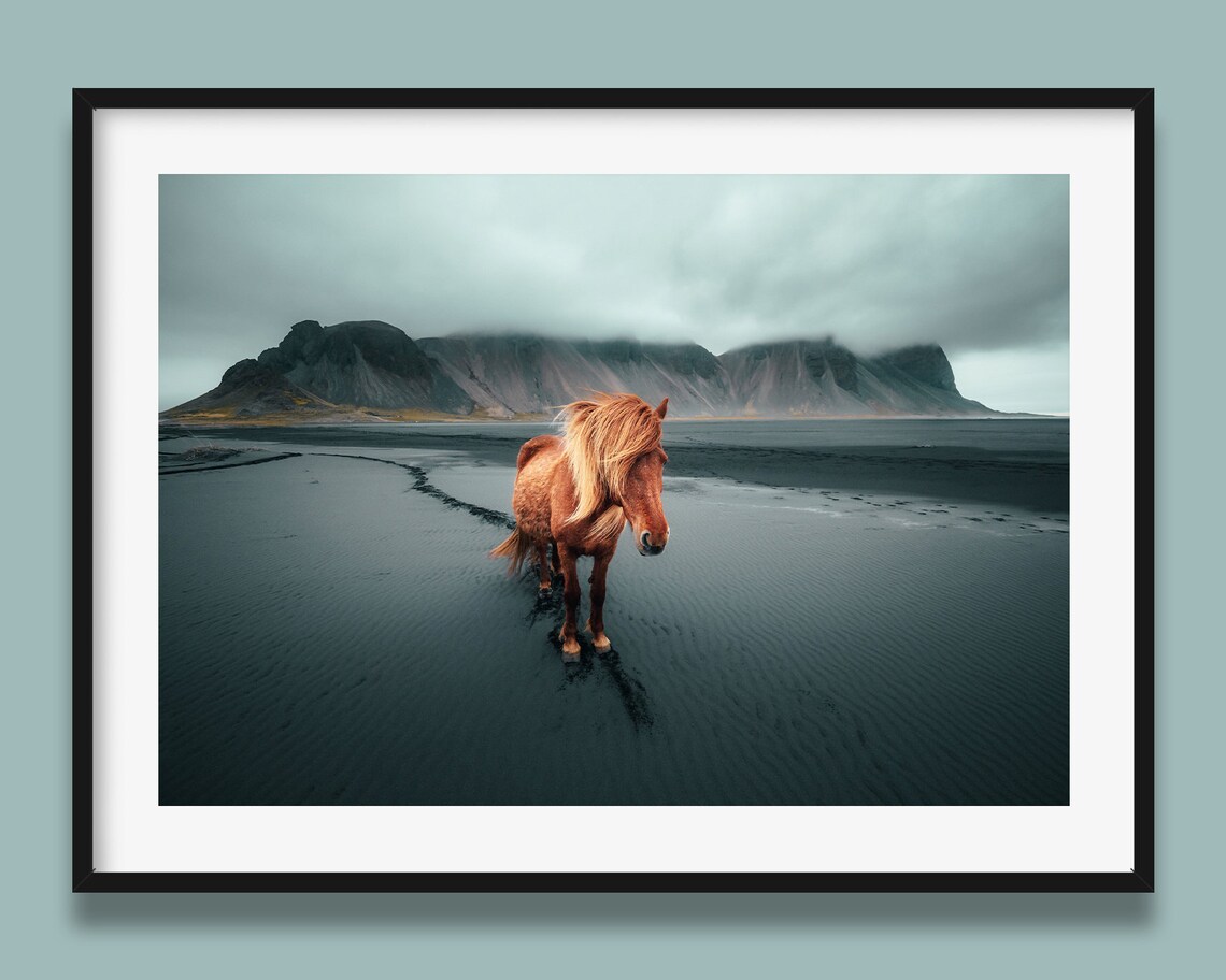Icelandic Horse Landscape Art Print, From Iceland