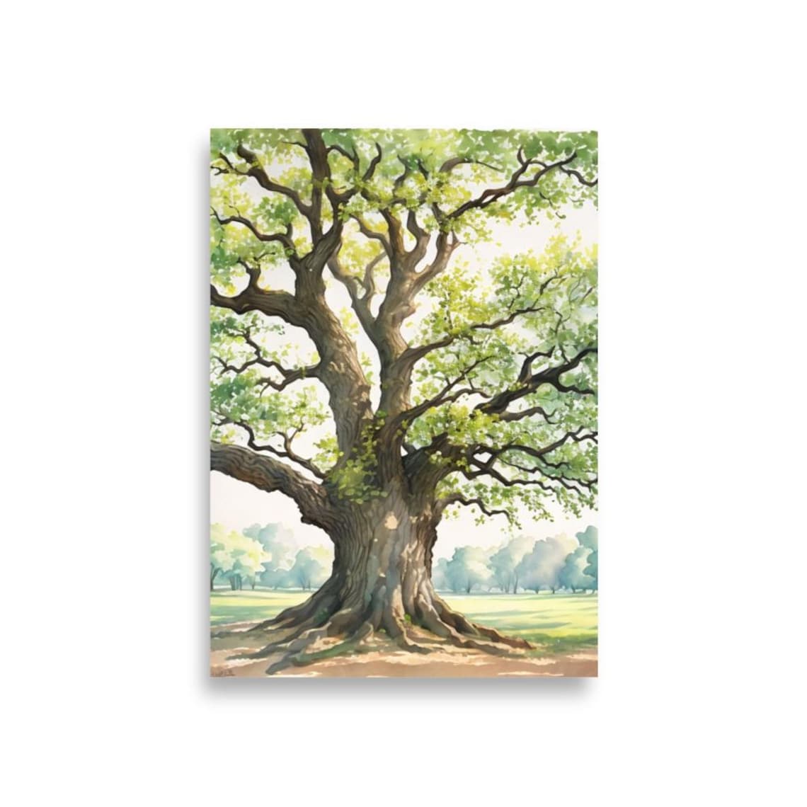 Oak Tree Watercolor Art Print, Louisiana Oak Park - Image 2