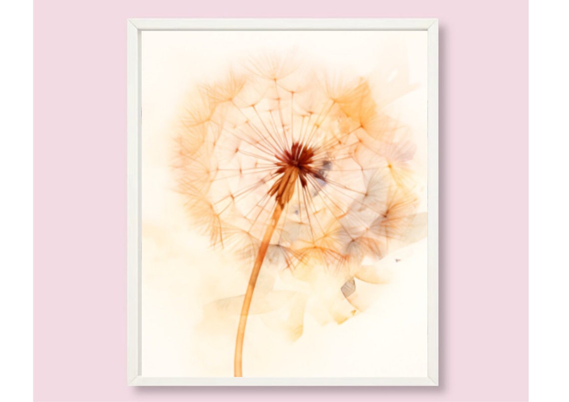 Dandelion Seed Head Peach Orange Watercolor Botanical Poster - Image 6