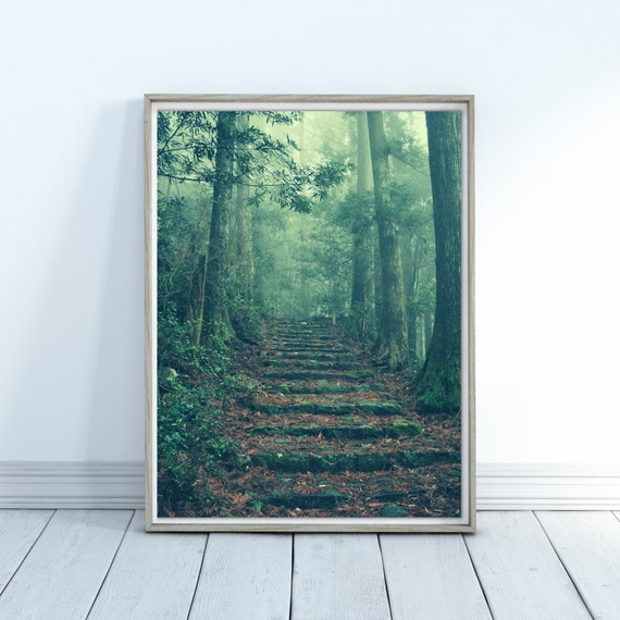 Woods Print Woods Home Decor Wall Art Forest Print Forest Forest Walk Wall Hanging Forest Art