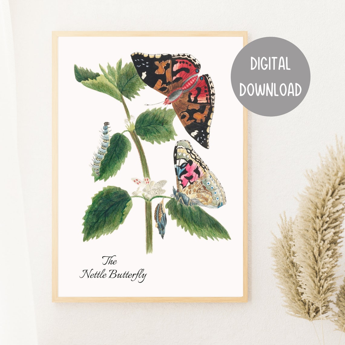 Vintage Botanical Butterfly Print Antique Butterfly Wall Art Plant Painting Botanical Print Insect Art Nettle Butterfly Art - Image 2