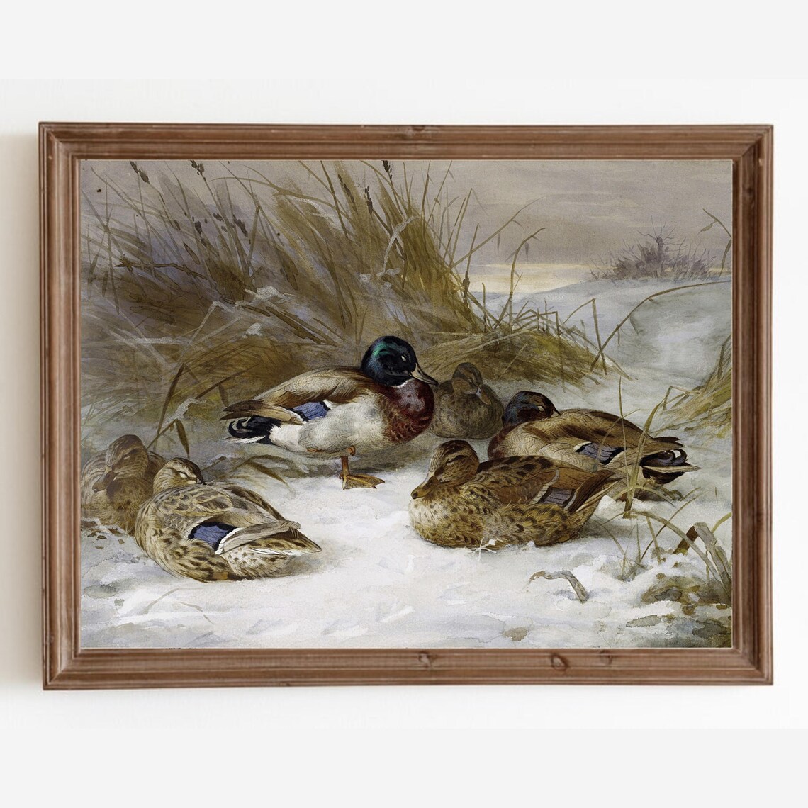 Vintage Duck Winter Snow Landscape Art Print