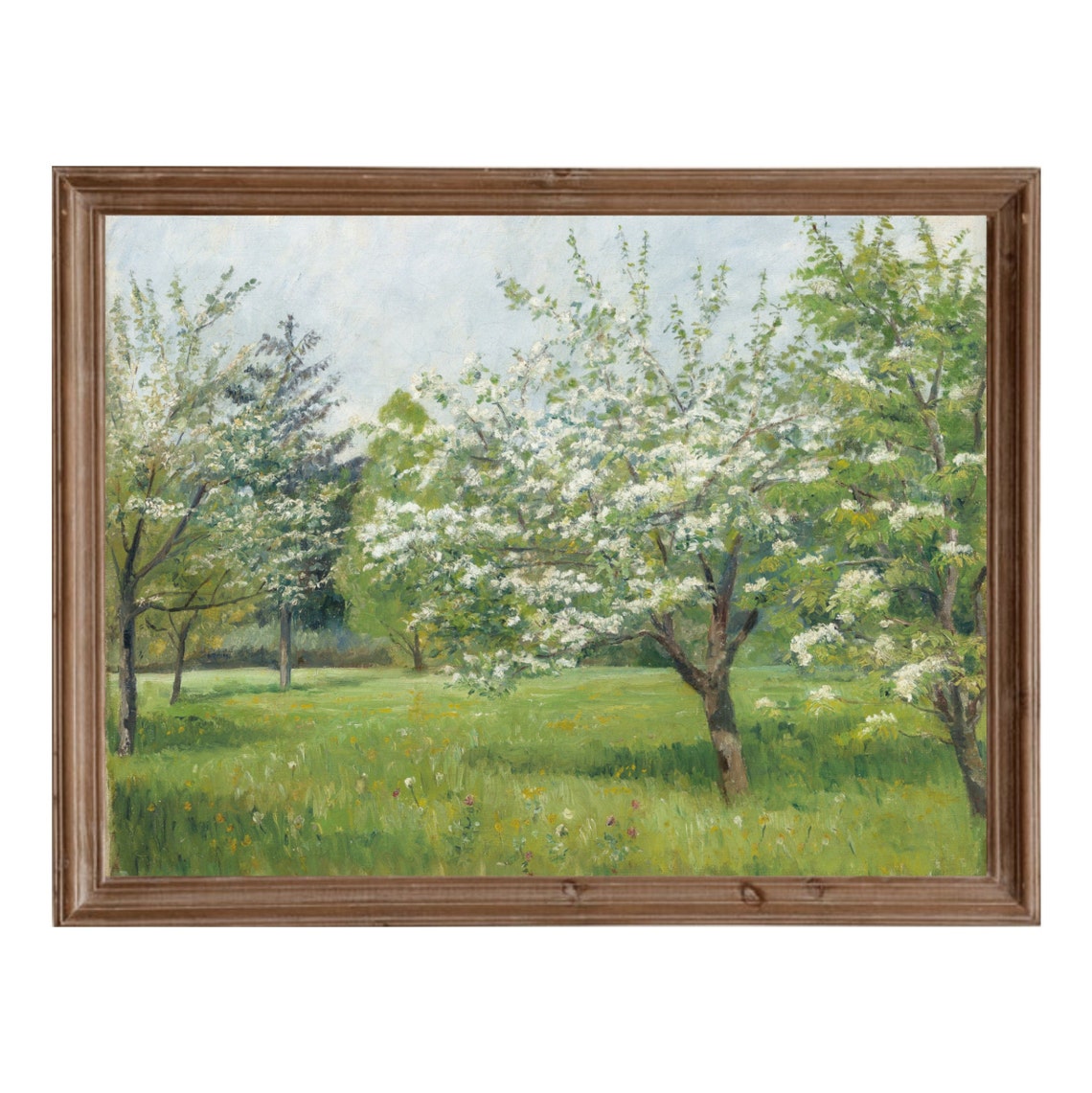 White Blossom Orchard In Spring Vintage Impressionist Poster