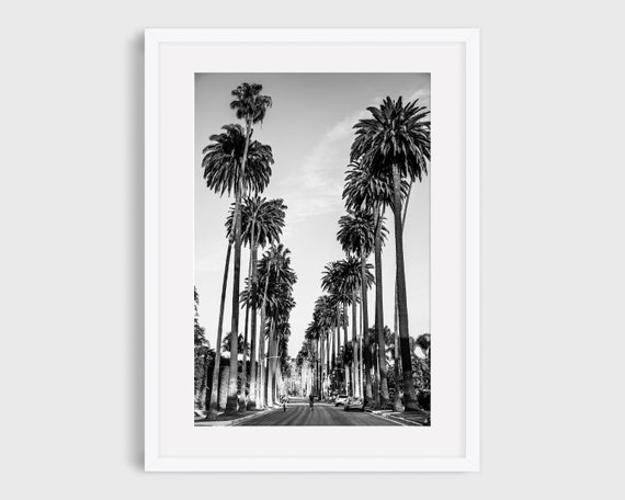 Beverly Hills Palm Trees Bike Ride, Los Angeles Poster