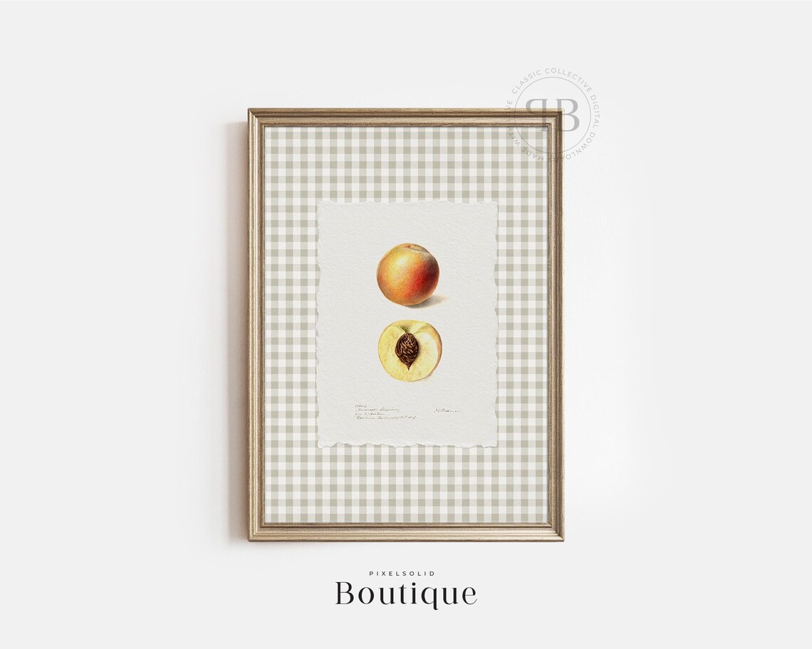 Peach Botanical Fruit Print Antique Orchard Illustration Rustic Farmhouse Kitchen Wall Art Vintage Style No793