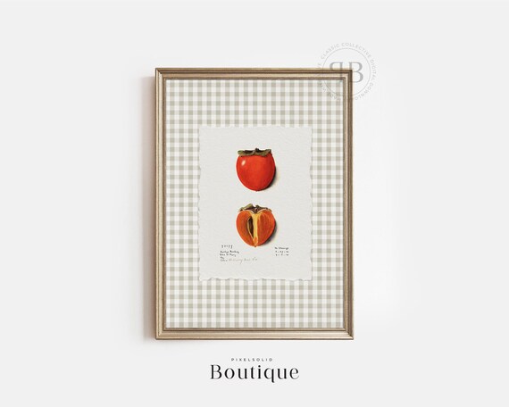 Persimmon Botanical Fruit Print Antique Illustration Wall Art Country Kitchen Decor Vintage Style No790