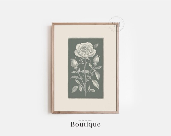 Rose Botanical Print Floral Wall Art Monochrome Green Nature Illustration Vintage Style Decor No608