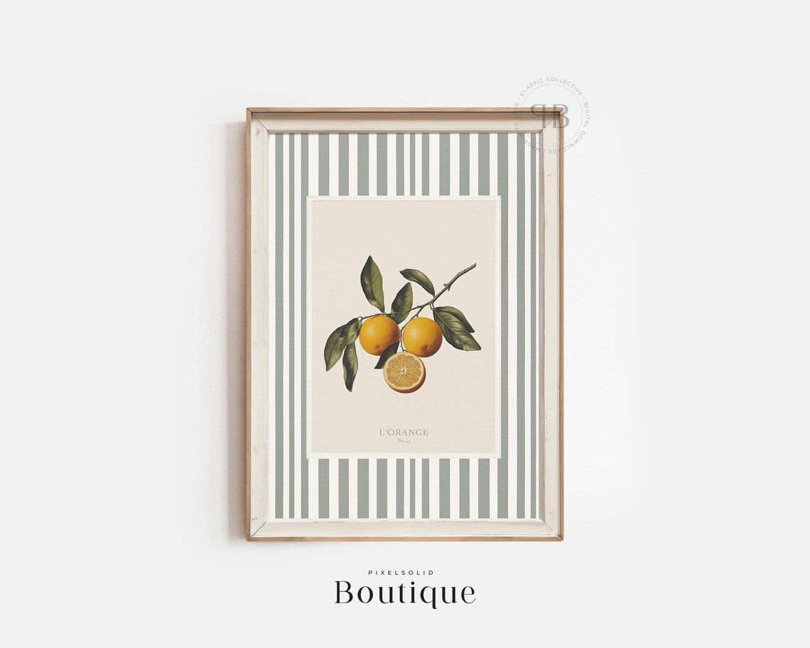 Botanical Orange Citrus Illustration, Vintage Kitchen Art