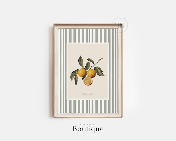 Botanical Orange Citrus Illustration, Vintage Kitchen Art